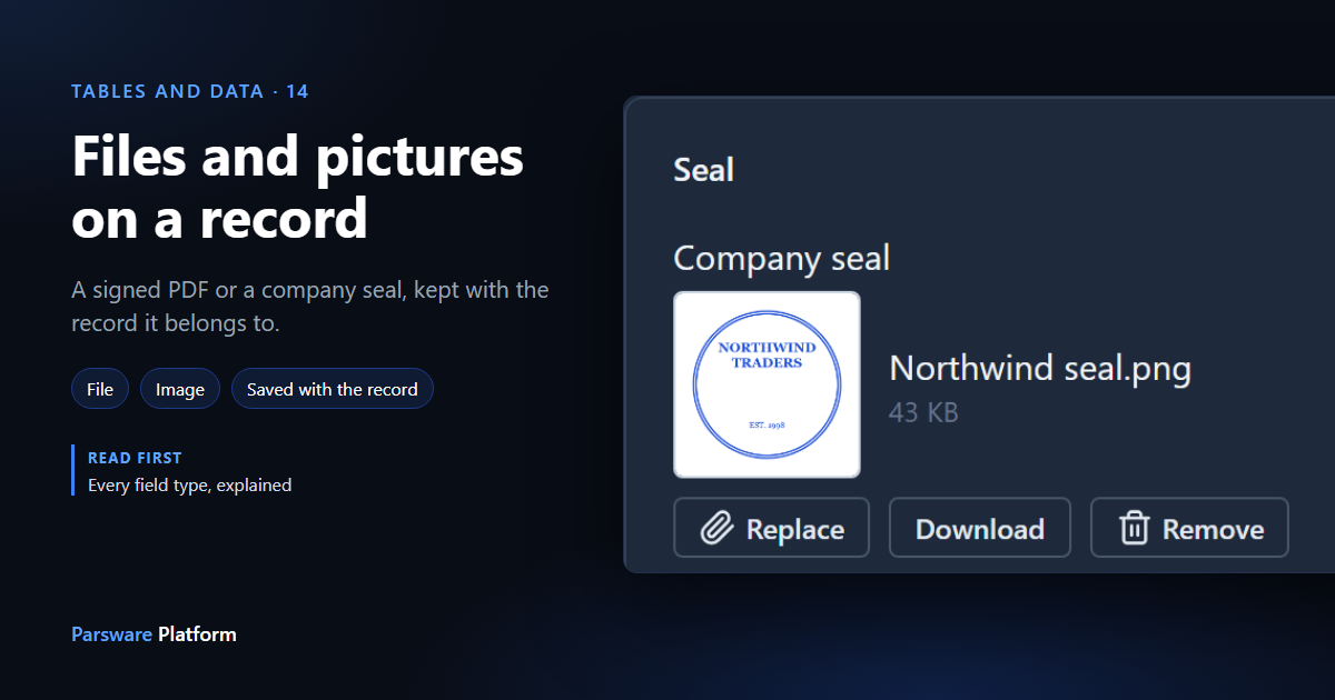A Company seal field in dark mode holding a blue Northwind Traders seal picture, 43 KB, with Replace, Download and Remove, next to the title "Files and pictures on a record"