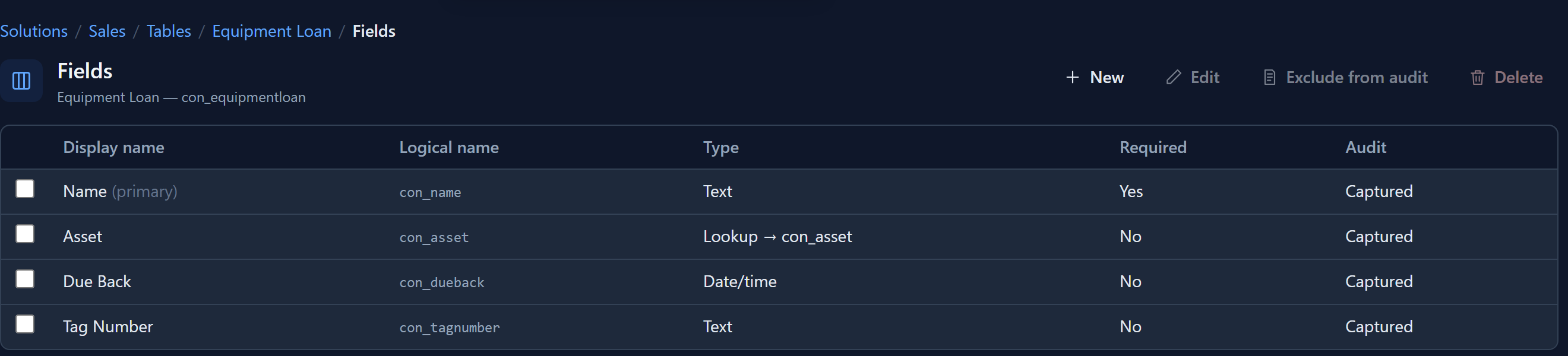 The Fields list of Equipment Loan: Name (primary) Text, Asset Lookup to con_asset, Due Back Date/time, Tag Number Text