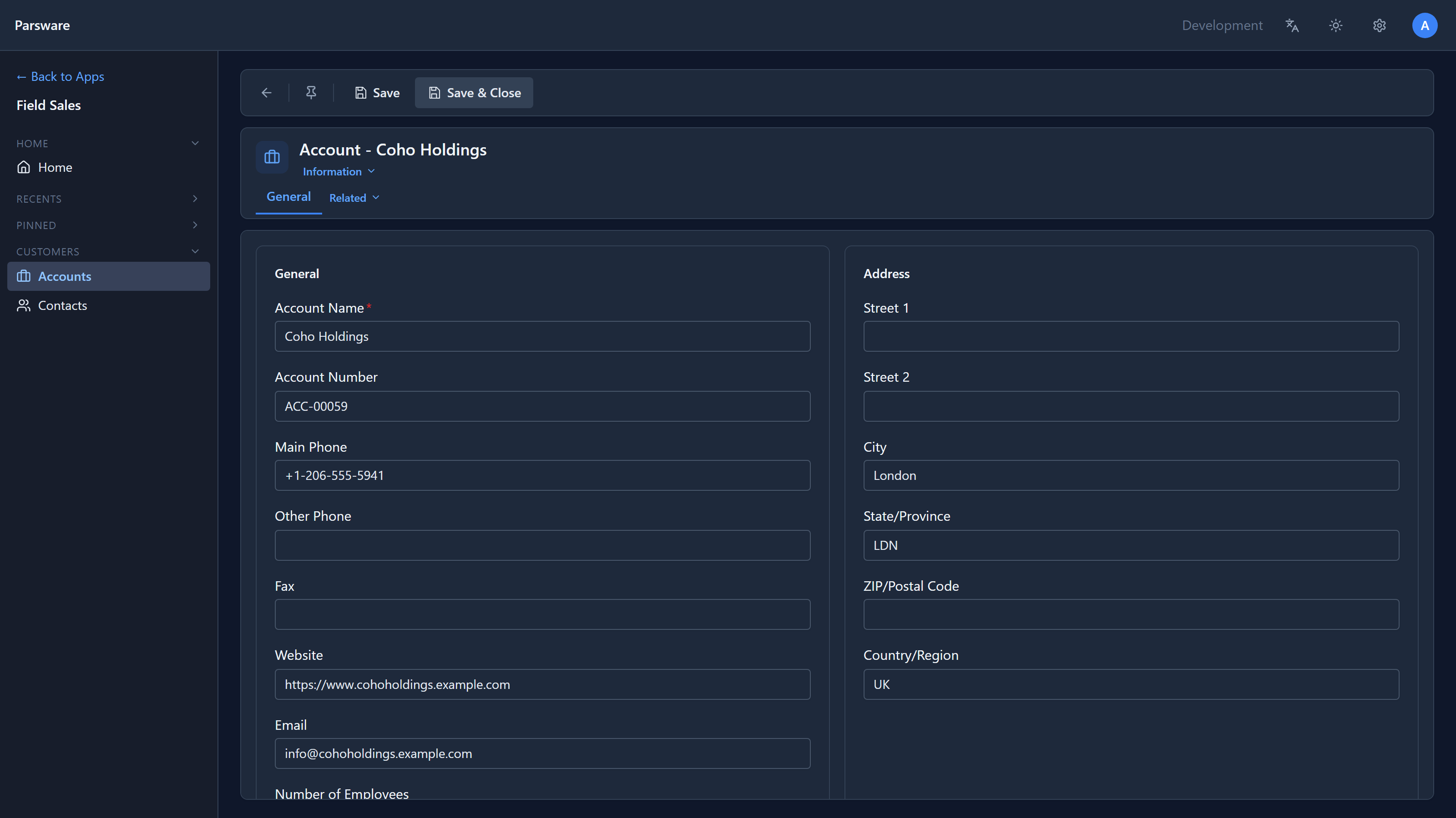 The Coho Holdings account open on its form: Save and Save & Close in the command bar, and General and Address sections with the account's fields